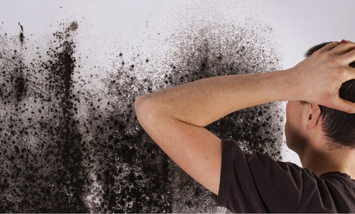 Person looking at dark spotting on a white wall.
